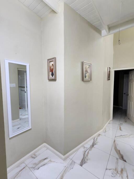 Spacious Luxury 3 Bed Rooms In Кінгстон Екстер'єр фото